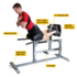 Римский стул регулируемый Body-Solid SGH500